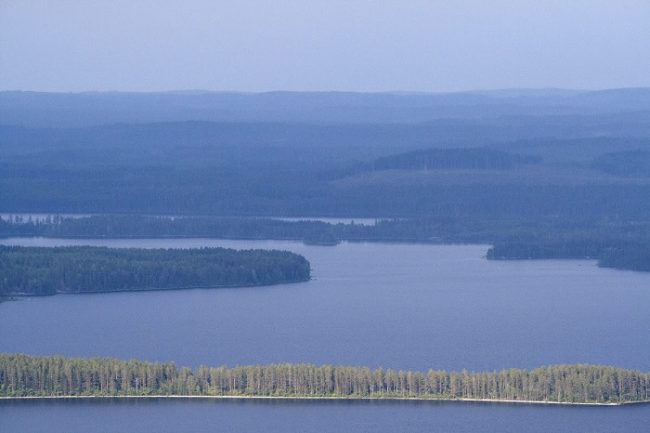 Aguas del lago Pielinen en el Parque Nacional de Koli. Paisaje nacional de Finlandia donde el agua es protagonista 