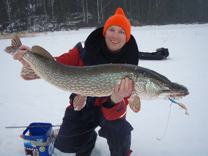 Aparte-del-salmon-el-lucio-perca-es-el-pez-mas-grande-que-se-puede-pescar-en-Finlandia_fotoFinnlures