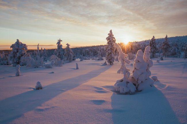 Atardecer en el Parque Nacional de Riisitunturi 