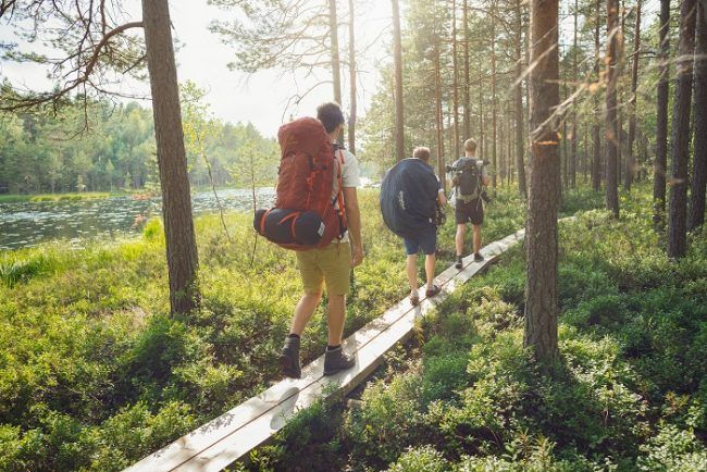 Atravesando una zona húmeda en el bosque de Finlandia 