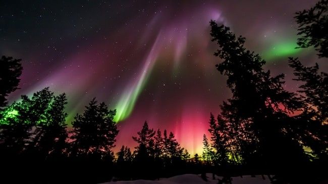 Aurora Boreal 