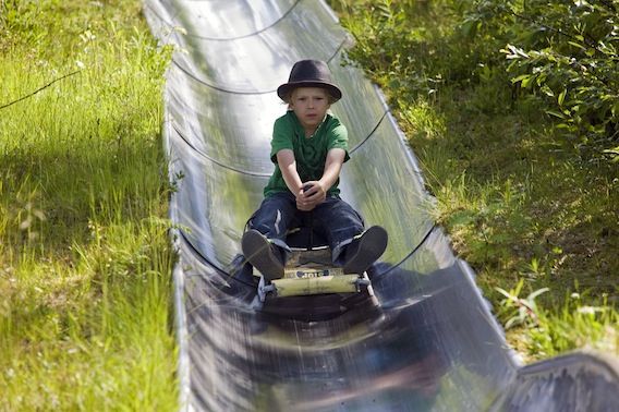 Una actividad divertida para todas las edades: bobsleigh de verano en Rovnaniemi, Finlandia