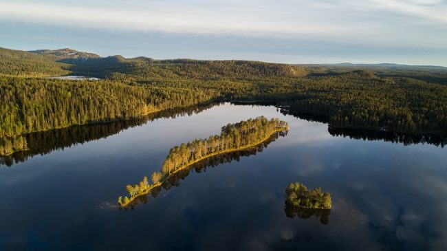 Bosque y agua, las dos esencias de la vida en Finlandia 