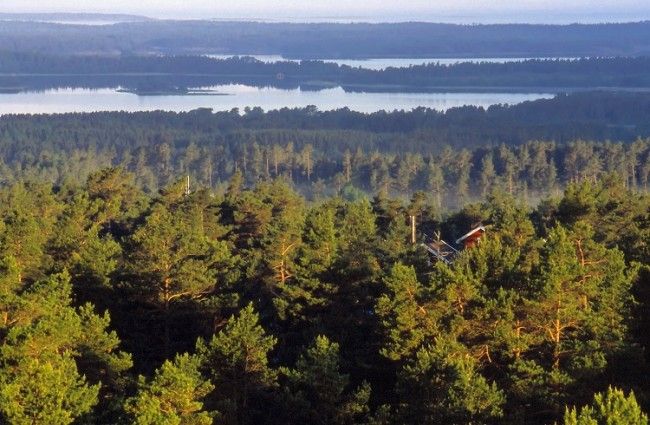 Bosques y lagos envuelven Finlandia 