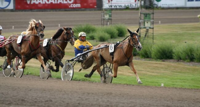 Caballos-finlandeses-durante-una-carrera-de-trotones-en-Finlandia_fotoWikipedia