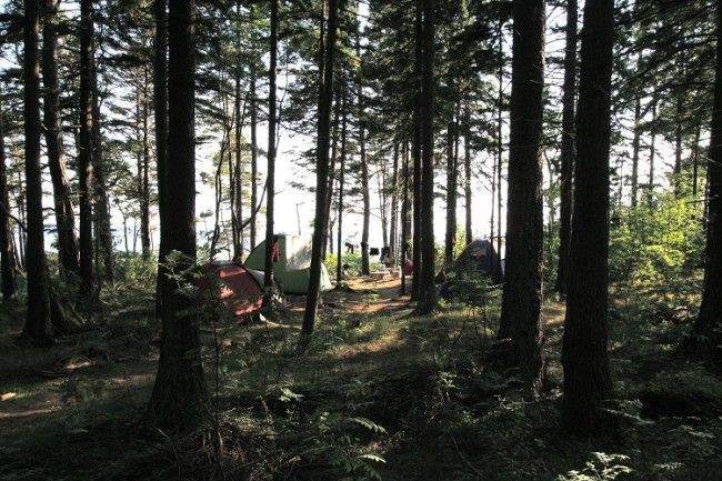 Camping libre en Kaunissaari 