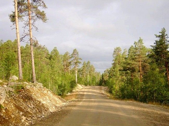 Carretera de Angeli a Karigasniemi