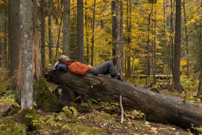 Descanso-en-el-bosque-de Laponia-en-otoño_fotoToniPanula-VisitFinland