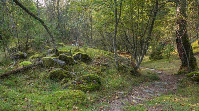 Detalle-del-camino-que-nos-lleva-desde-el-castillo-de-Raseborg-al-museo_fotoTuijaWaren-NationalParks