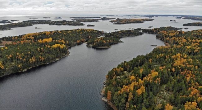 Detalle del Parque Nacional del Archipiélago de Ekenäs en otoño 