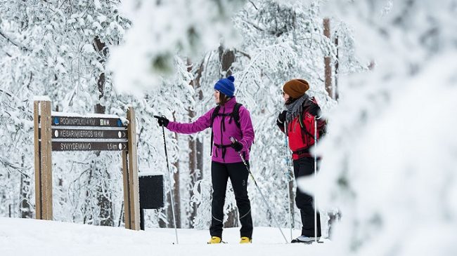 Durante el invierno en el Parque Nacional de Rokua también se puede practicar el esquí de fondo 