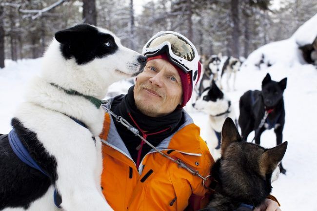 Durante un safari con perros husky 