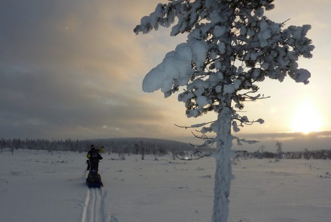 Durante una excursión invernal en el Área Natural de Hammastunturi 