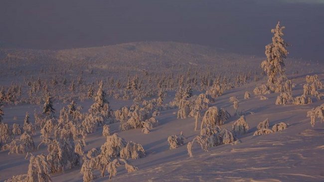 El Área Natural de Hammastunturi en invierno 