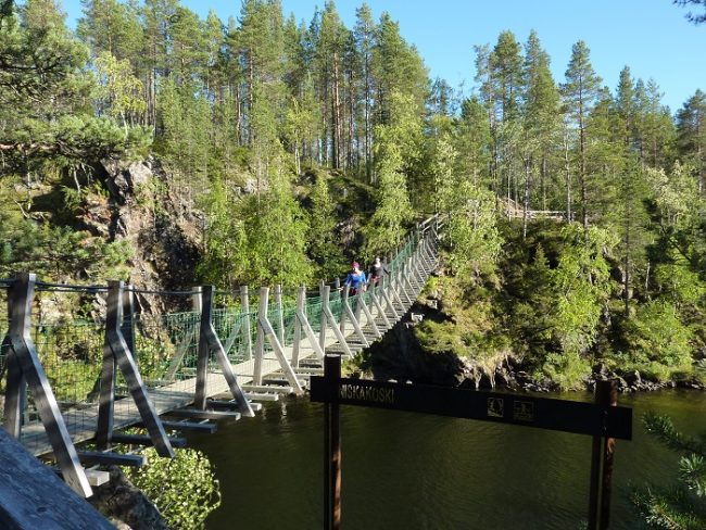 El camino del Pieni Karhunkierros tiene algunos puentes colgantes como este