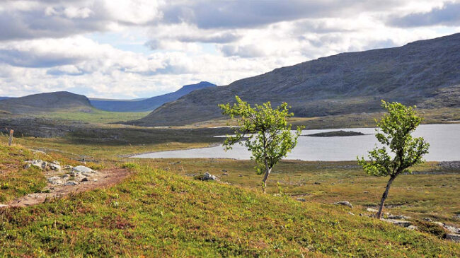 El-Nordkalott-Trail-discurre-por-zonas-muy-salvajes-de-Finlandia_fotoSeijaOlkkonen-NationalParks