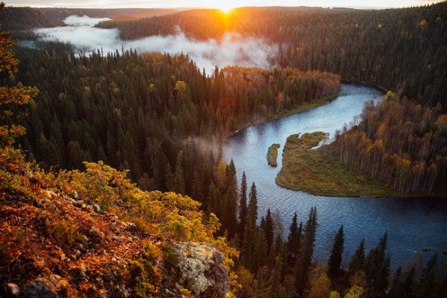 El parque nacional de Oulanka en otoño 