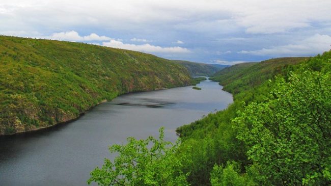 El río Kevo es la arteria principal de la Reserva Natural de Kevo 