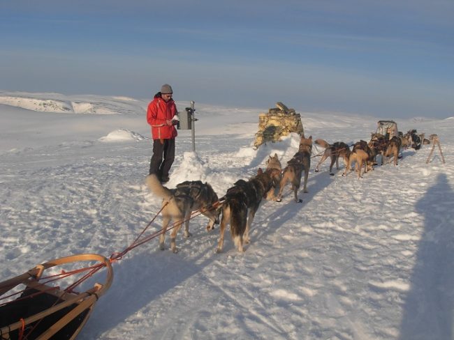 En la cima del Halti con perros Husky