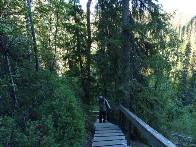 En la ruta del Pieni Karhunkierros hay buenos tramos de escaleras de subida y de bajada 