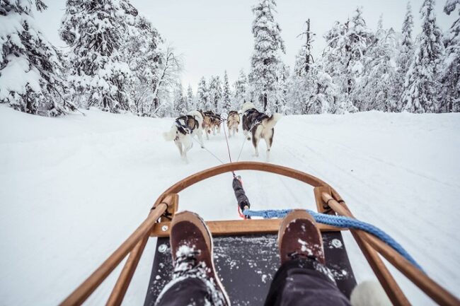 En-Luosto-también-es-posible-realizar-un-safari-con-perros-Husky_fotoPyhä-Luosto