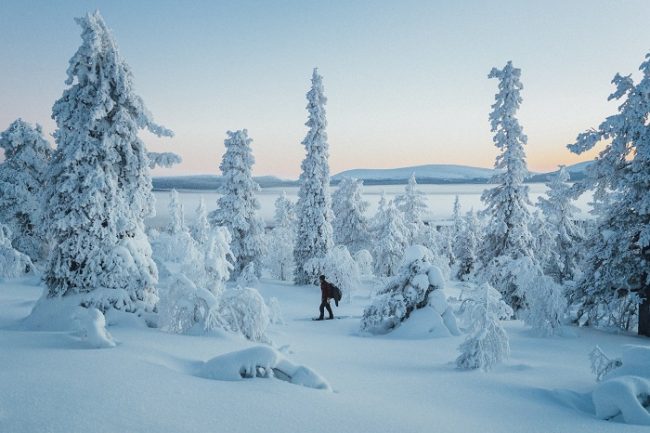 Excursión con raquetas de nieve en Ylläs 