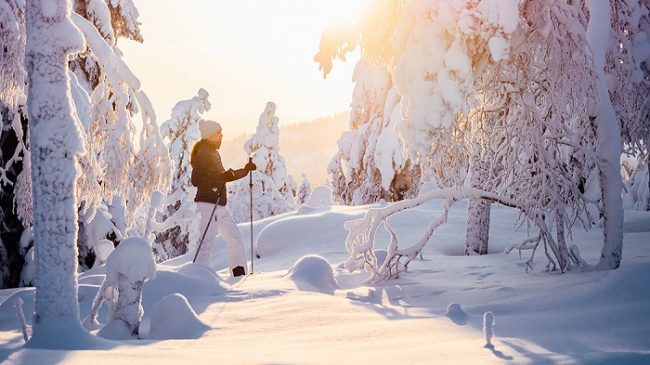 Excursión con raquetas de nieve por las colinas de Teerivaarassa, en el Parque Nacional de Syöte 