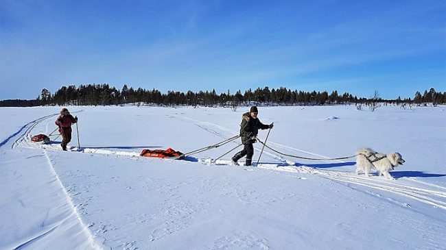 Excursión invernal en el Espacio Natural Protegido de Pulju