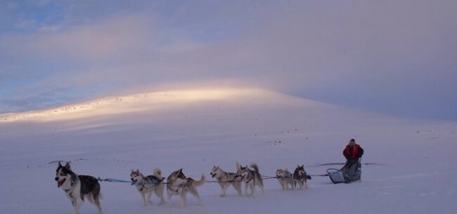 Excursión-con-huskys-en-Kilpisjärvi_fotoDestinationKilpisjärvi