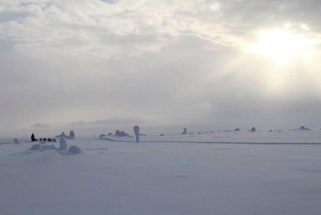 Excursión-con-perros-husky-en-el-municipio-de-Enontekiö_fotoEnontekiöLapland