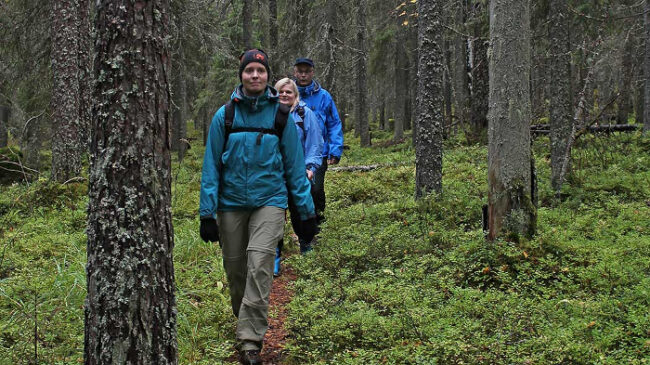 Excursionistas-en-el-Parque-Nacional-de-Patvinsuo_fotoMaaritSimila-NationalParks