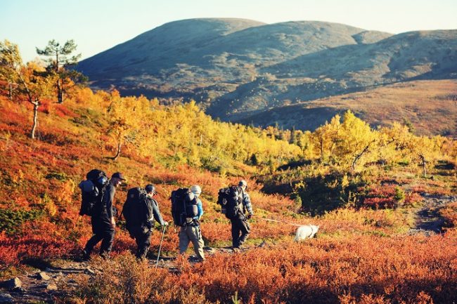 Excursionistas en la ruta de Hetta a Pallas durante el otoño 