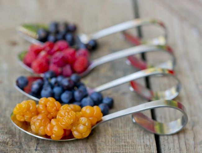 Frutas del bosque. En primer plano la Mora Ártica