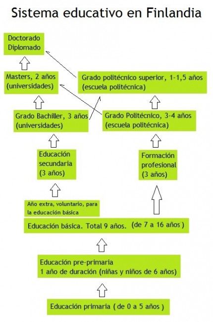 Grafíco del sistema educativo en Finlandia