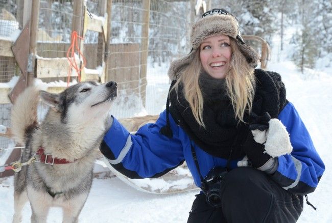 Safari de huskys en Laponia