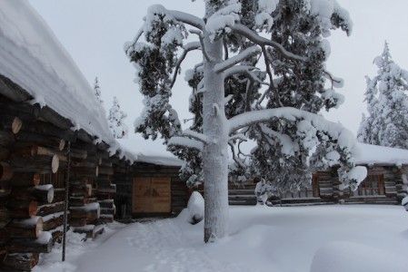 Jávri - vistas invernales