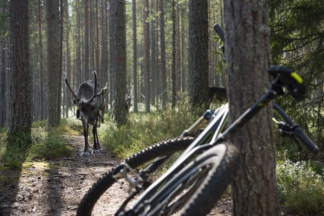 La bicicleta de montaña es una buena manera de recorrer el Parque Nacional de Hossa 