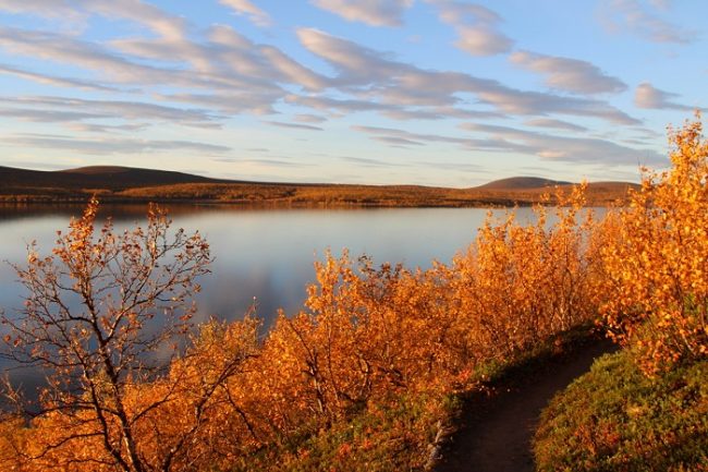 La Reserva Natural de Kevo en otoño 