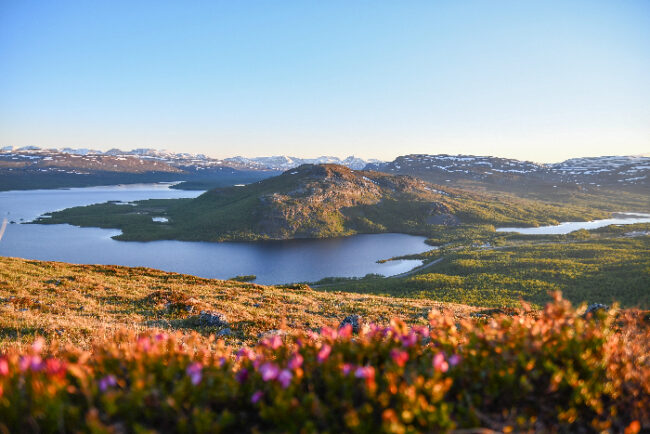 La-Reserva-Natural-de-Malla_fotoSuviMansikkasalo-Saana-VisitFinland