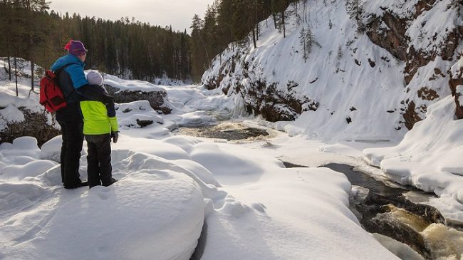 Los rápidos de Kiutaköngäs en primavera en el parque nacional de Oulanka 