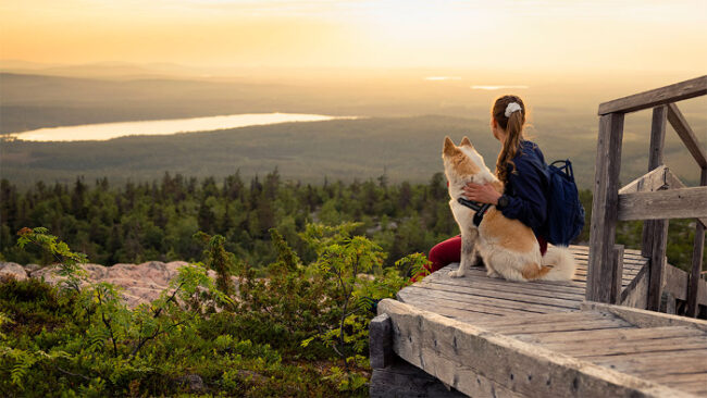 Mirador-en-el-Parque-Nacional-de-Salla_fotoHarriTarvainen-NationalParks