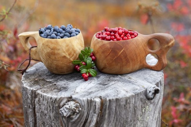 Mirtilos y arándanos rojos en la taza tradicional Sami 