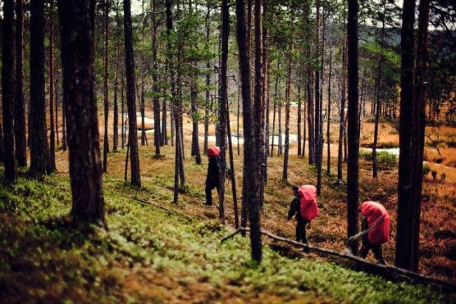 Mochilas cargadas para-una excursión de varios días en Lemmenjoki 