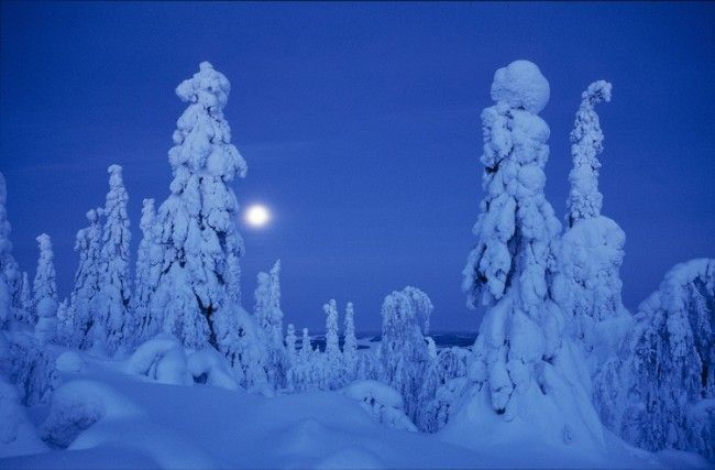 Noche con luna llena 