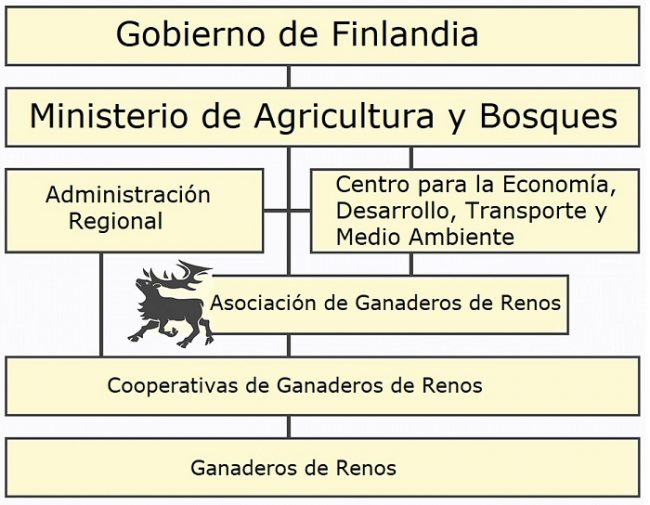 Organización de la cría de renos en Finlandia