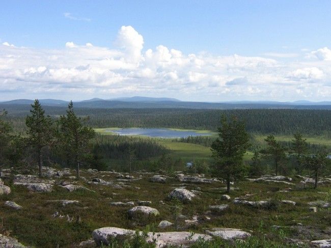 Paisaje de verano en la región de Salla 