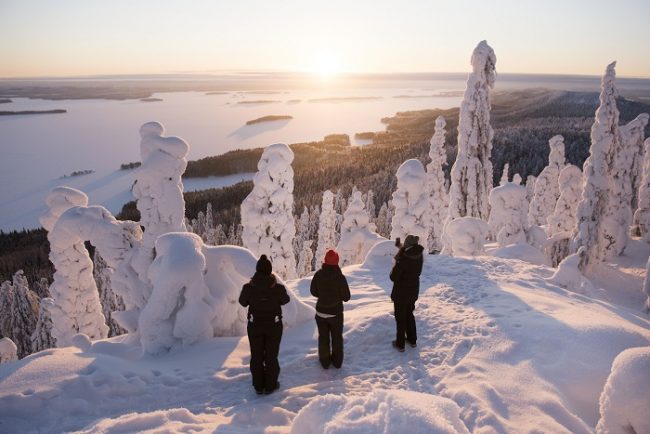 Paisaje invernal en el Parque Nacional de Koli 