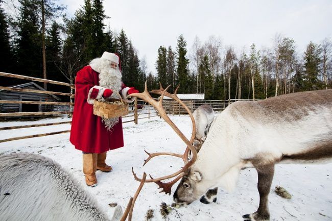 Papá Noel dando líquenes a sus renos 