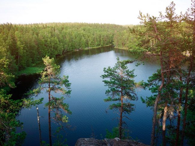 Parque Nacional de Nuuksio 