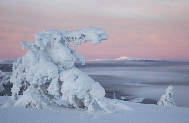 Parque Nacional Pyhä-Luosto 